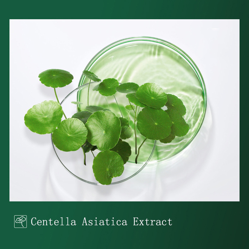 8pcs Centella Mud Mask Anti-Ac - Dust Mask Construction ulasan dan harga